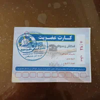 کارت استخر دلفین