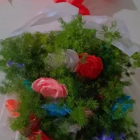 گل ربانی و جاودان|گل مصنوعی|گرمسار, |دیوار