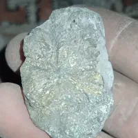 فروش سنگ تزیینی کلکسیونی|کلکسیون اشیاء عتیقه|بندر کنگان, |دیوار