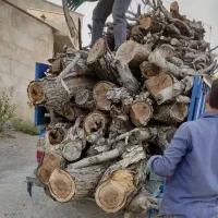 خرید و برشکاری انواع چوب درختی