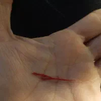 زعفران درجه 1 اتویی خراسان|خوردنی و آشامیدنی|اسلامشهر, شهرک محمدیه|دیوار