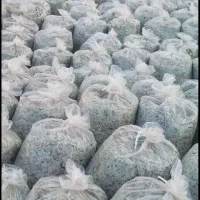 تفاله چغندر میاندوآب