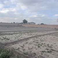 800متر زمین باغی ، جاده سروش،قهجاورستان|فروش دفتر صنعتی، کشاورزی، تجاری|اصفهان, قهجاورستان|دیوار