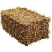 فروش کاه