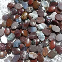 سنگ تراشخورده شجر دریایی و جاسپر