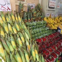 استخدام نیروی آقا میوه فروشی