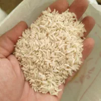 فروش برنج هاشمی|خوردنی و آشامیدنی|شاهین‌شهر, شهرک ردانی پور|دیوار