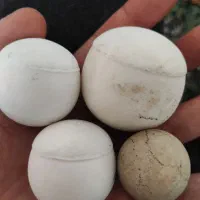 سنگ الماس آسیاب