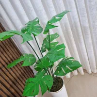 درختچه مصنوعی|گل مصنوعی|مشهد, انقلاب|دیوار