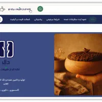 طراحی سایت فروشگاهی ، شرکتی بصورت حرفه ای|خدمات رایانه‌ای و موبایل|شیراز, باغ تخت|دیوار