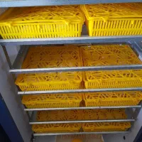 باهماهنگی قبلی پذیرفته می‌شود