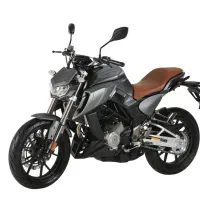 موتور مانستر 250