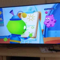 خریدار/تلویزیون/ال ای دی/ال سی دی/تمام نقاط شهر