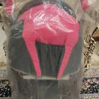 کالسکه دلیجان