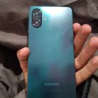 گوشی خشک هست