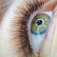 مدل رایگان اکستنشن مژه|خدمات آرایشگری و زیبایی|لاهیجان, امیرشهید|دیوار