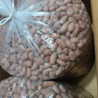 محصولات بادام زمینی پارس آباد|عمده‌فروشی|پارس‌آباد, |دیوار