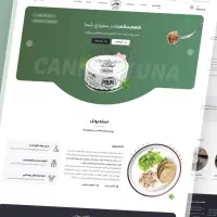 طراحی و پشتیبانی سایت و اپلیکیشن (پایدار + اقساط )