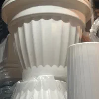 همکار جهت کار در بازار گل شهید محلاتی