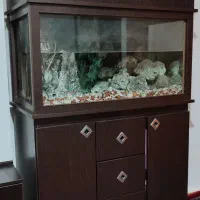 آکواریوم کمد دار با تمام وسایل