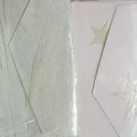 پاکت سک
