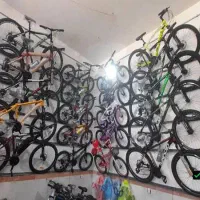 گنگستر شهر کرج