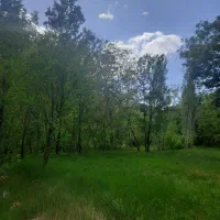 راهنمایی اوقات فراغت