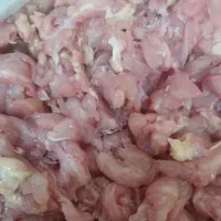 غذای پت شابها وپرورش ماهی ها