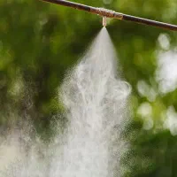 مه پاش