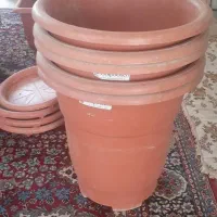 گلدان مخصوص اداره،دفتر،محل کار