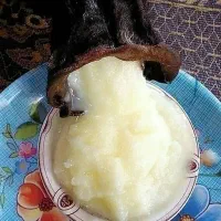 روغن گوسفندی