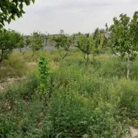 فروش-باغچه-500-متری-در-جمال-آباد