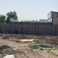 ۳۴۰ زمین چهار دیواری شهرک زعفرانیه|فروش زمین و ملک کلنگی|کرج, گلشهر|دیوار