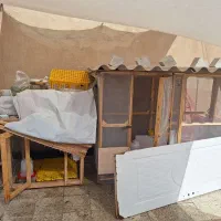 گنجه