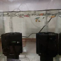 اکواریوم ۲۵ در ۳۲