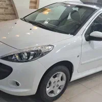 207پانا رینگ دار خشک