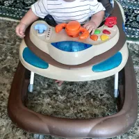 روروئک سالم