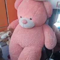 وسایل خانه|چرخ خیاطی و ریسندگی|اردبیل, |دیوار