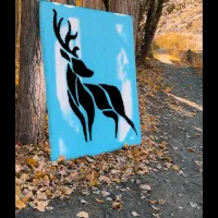 از تخفیفات جا نمونی|فرش|آران و بیدگل, |دیوار