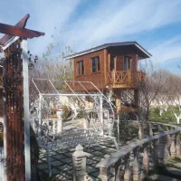 رنگ چوب روس و ترموود|ابزارآلات|محمدشهر, همایون ویلا|دیوار