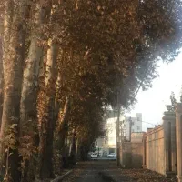 ۱۳۰مترزمین ۲ بر  قابل ساخت+ویلایی+ مسکونی کردزار