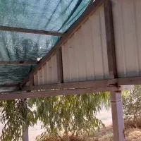 آلاچیق