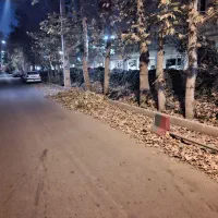 ۱۲۰۰متر ویلایی دهکده