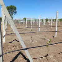 نسب انواع تیرچه باغی. فنس.کاشت