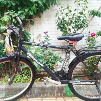 دوچرخه 26 دنده‌ای دماوند