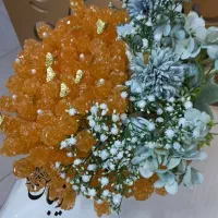 شاخه نبات داماد