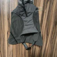 لباس و قلاده سگ|لوازم جانبی حیوانات|تهران, کوی بیمه|دیوار