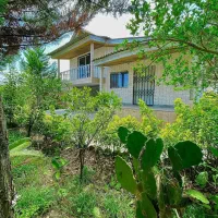 باغچه ویلانیم پیلوت جنگلی*330متر قیمت کاسبی