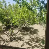 باغ-300-متر-واقعه-در-مهراباد-زرین-شهر