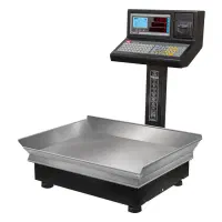 باسکول|ماشینآلات صنعتی|نورآباد ممسنی, |دیوار